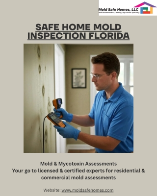 Safe Home Mold Inspection Florida – Protect Your Family and Property