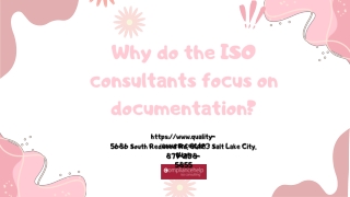 Why do the iso ISO consultants focus on documentation?