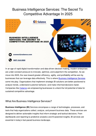 Business Intelligence Services