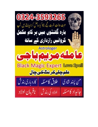 Best Astrologer for Life Problems Combined Solutions with Rohani Ilaj