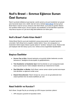 Null’s Brawl – Sınırsız Eğlence Sunan Özel Sunucu