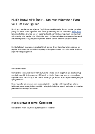 Null’s Brawl – Complete Guide for Gamers