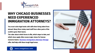 Why Chicago Businesses Need Experienced Immigration Attorneys