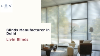 Blind Manufacturer in Delhi