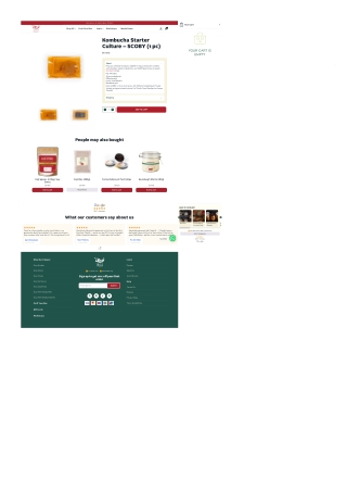 Start Brewing Traditional Kombucha at Home – SCOBY Culture for Kombucha Dubai