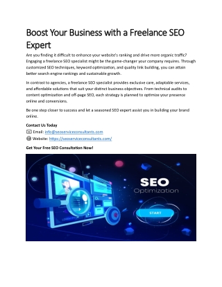 Boost Your Business with a Freelance SEO Expert