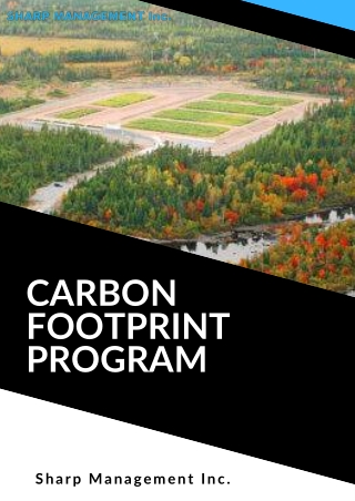 Microbial Pathogens in Wastewater Treatment  Wetland Solutions