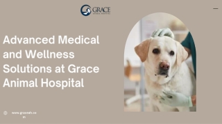 Advanced Medical and Wellness Solutions at Downey Vet