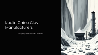 Challenges Faced by Kaolin China Clay Manufacturers in Today’s Market