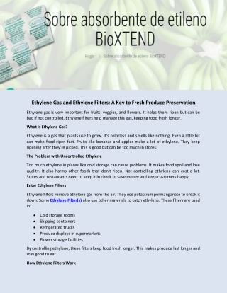 Ethylene Gas and Ethylene Filters, A Key to Fresh Produce Preservation.