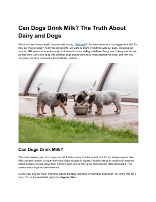 Can Dogs Drink Milk? The Truth About Dairy and Dogs