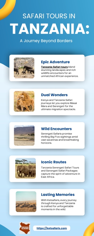 Safari Tours in Tanzania A Journey Beyond Borders