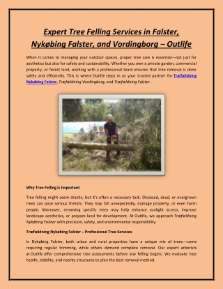 Expert Tree Felling Services in Falster, Nykøbing Falster, and Vordingborg – Out