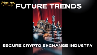 Future Trends Shaping the Secure Crypto Exchange Industry