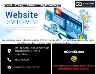 Web Development Company in Chicago