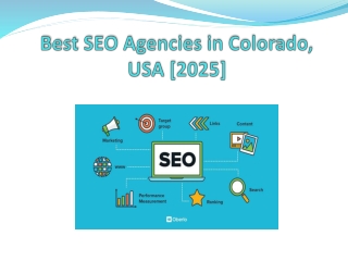 Best SEO Agencies in Colorado, USA [2025]