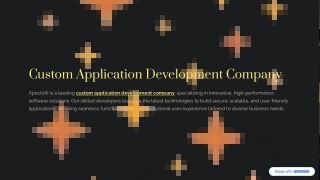 Custom Application Development Company