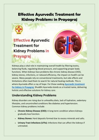 Effective Ayurvedic Treatment for Kidney Problems in Prayagraj