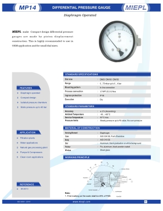 Differential Pressure Gauge - Diaphragm Operated | India Pressure Gauge