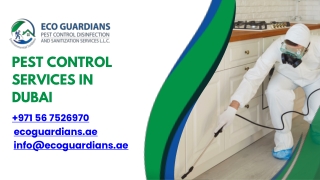 Pest Control in Dubai