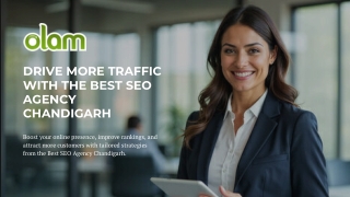Drive More Traffic with the Best SEO Agency Chandigarh