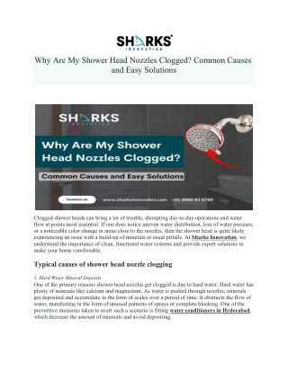 Why Are My Shower Head Nozzles Clogged Common Causes and Easy Solutions.docx