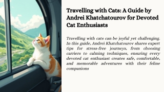 Traveling with Cats Made Easy by Andrei Khatchatourov