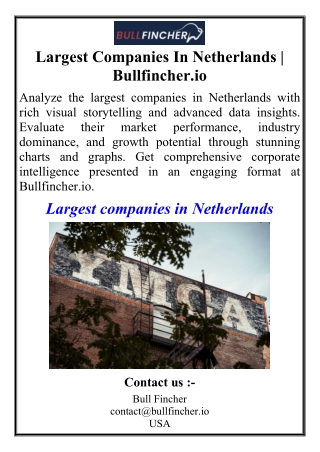 Largest Companies In Netherlands | Bullfincher.io