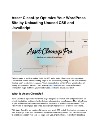 Asset CleanUp_ Optimize Your WordPress Site by Unloading Unused CSS and JavaScript (2)