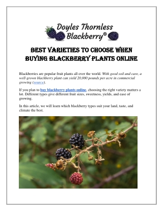 Best Varieties to Choose When Buying Blackberry Plants Online