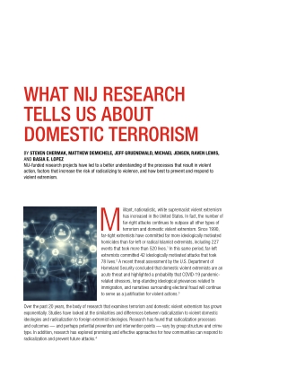 What NIJ Research Tells Us About Domestic Terrorism