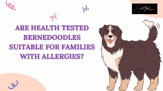 From Testing to Temperament: Ensuring Health in Every Bernedoodle