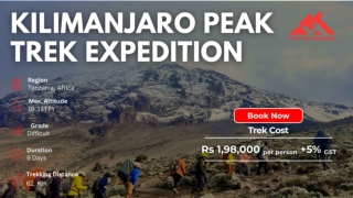 Climb mount Kilimanjaro: Where Dreams Touch the Sky