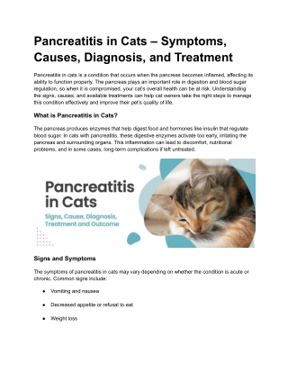 Pancreatitis in Cats – Symptoms, Causes, Diagnosis, and Treatment