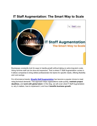 IT Staff Augmentation for Business Expansion