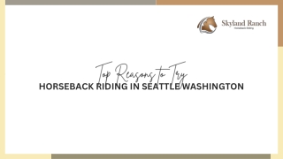 Top Reasons to Try Horseback Riding in Seattle Washington