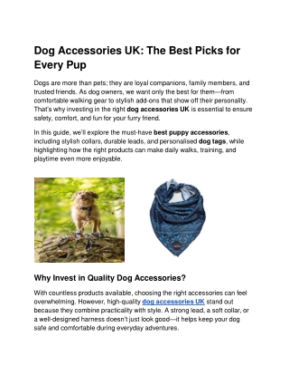 Dog Accessories UK: The Best Picks for Every Pup