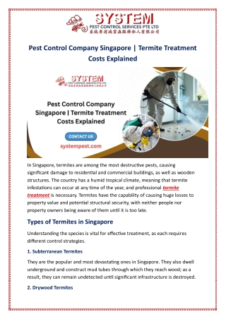 Pest Control Company Singapore | Termite Treatment Costs Explained