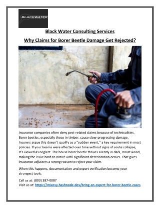 Treatment for Old House Borer Beetles Secure and Trustworthy Options