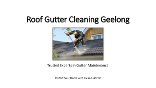 Prevent Water Damage with Regular Gutter Cleaning Geelong