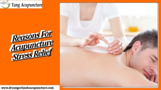 Reasons For Acupuncture Stress Relief