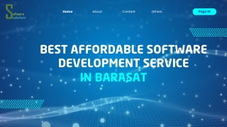 Best Affordable Software Development Service