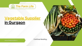 Reliable Vegetable Supplier in Gurgaon