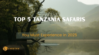 Top 5 Tanzania Safaris You Must Experience in 2025