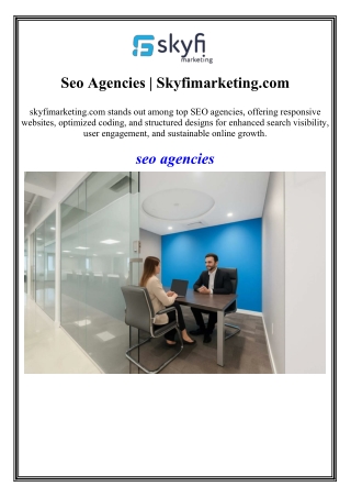 Seo Agencies Skyfimarketing.com