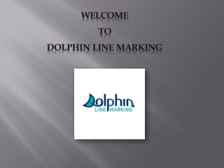 Line Marking Newcastle - Dolphin Line Marking