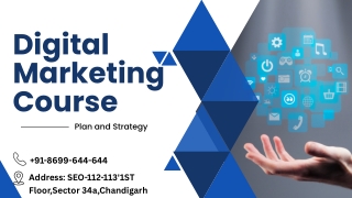 best digital markrting course in chandigarh