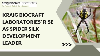 Spider Silk Development Company | Spider Silk Development Technology Leader