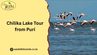 Chilika Lake Tour from Puri