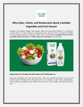 Why Cafes, Hotels, and Restaurants Need a Reliable Vegetable and Fruit Cleaner